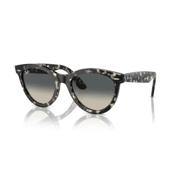 Ray-Ban RB2241 Wayfarer way