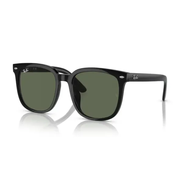 Ray-Ban RB4401D